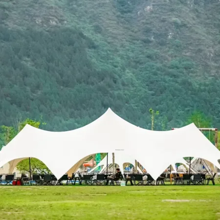 High-end Custom Printed Four-season Outdoor Canopy Tent One Peaked 210d Oxford Fabric Powder Coated Spider 20*8.6*5m for
